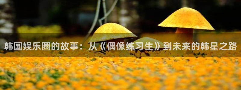 天辰平台