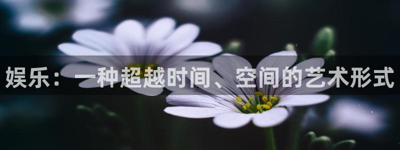天辰娱乐登录