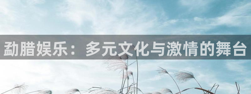 天辰平台